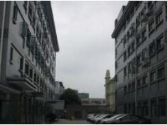 上海梅隴科技信息園助力企業(yè)跨越發(fā)展，筑夢(mèng)科技未來(lái)