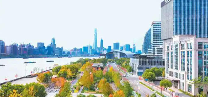 關于印發《美麗楊浦建設三年行動計劃（2024-2026年）》的通知