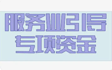 上海市市場監(jiān)管局等關(guān)于印發(fā)《上海市服務(wù)業(yè)發(fā)展引導(dǎo)資金支持廣告方向?qū)嵤┘?xì)則》的通知